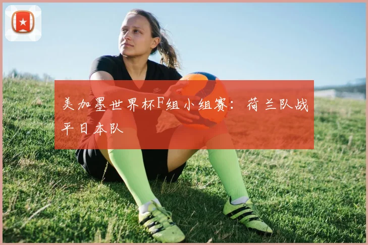 美加墨世界杯F组小组赛：荷兰队战平日本队